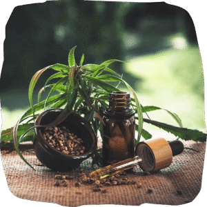 Best CBD Oil in Thailand