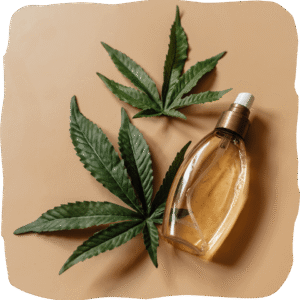 Best CBD Oil in Thailand