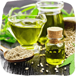 THC VS CBD What is the difference