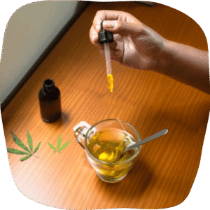 THC VS CBD What is the difference