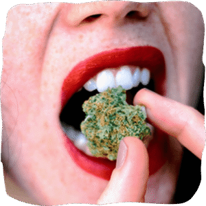 Cannabis Medical Shop