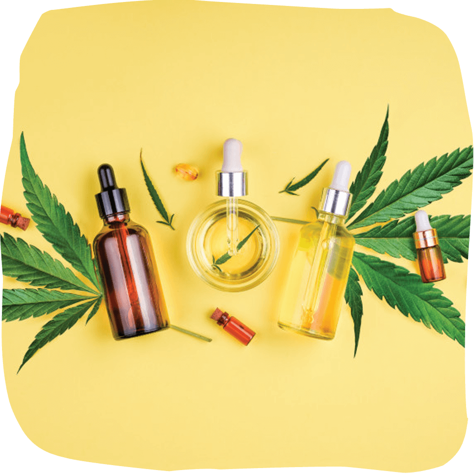 The Best Cannabis Medical Shop in Thailand - Canabis Dispensary - Bangkok - Organic Village 1