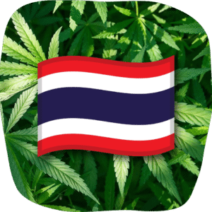 Cannabis Seed Online Shop