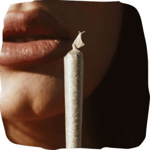 best organic cannabis pre rolls 