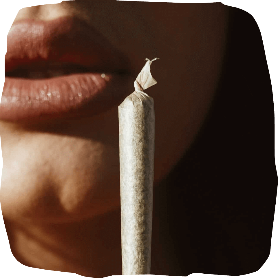 best organic cannabis pre rolls 1