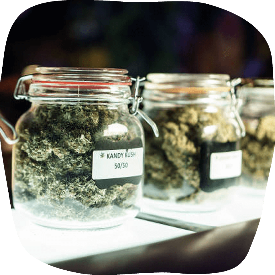 CANNABIS DISPENSARY NEAR ME 3