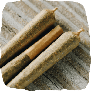 premium organic cannabis pre rolls