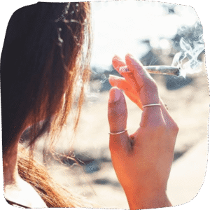 premium organic cannabis pre rolls