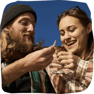 premium organic cannabis pre rolls