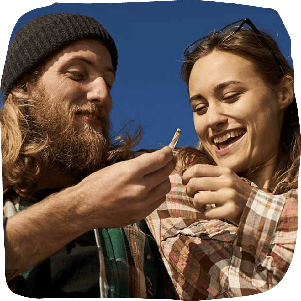 premium organic cannabis pre rolls 3