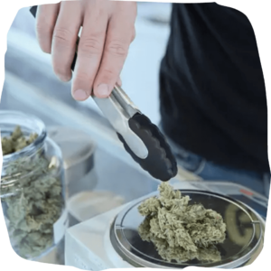 cannabis pre-rolls pack