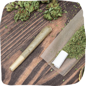 cannabis pre-rolls pack
