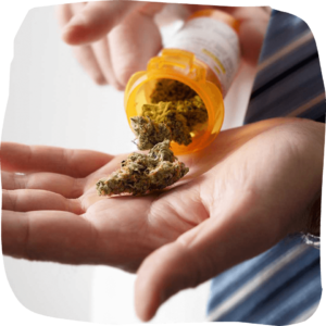 where to buy weed in Bangkok