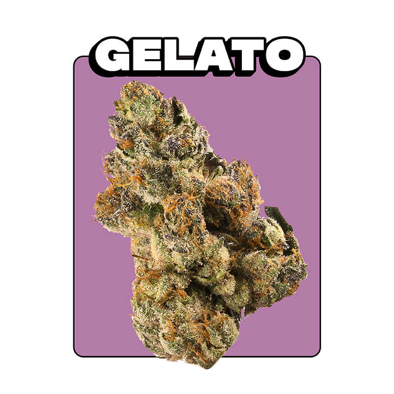 Gelato