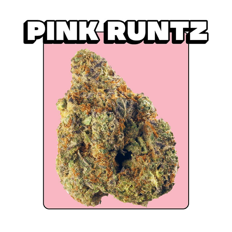 Pink Runtz